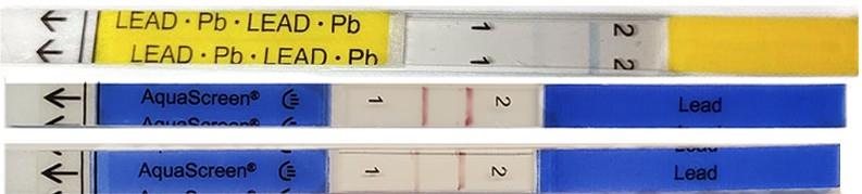 Lead Positive & Pesticide Negative